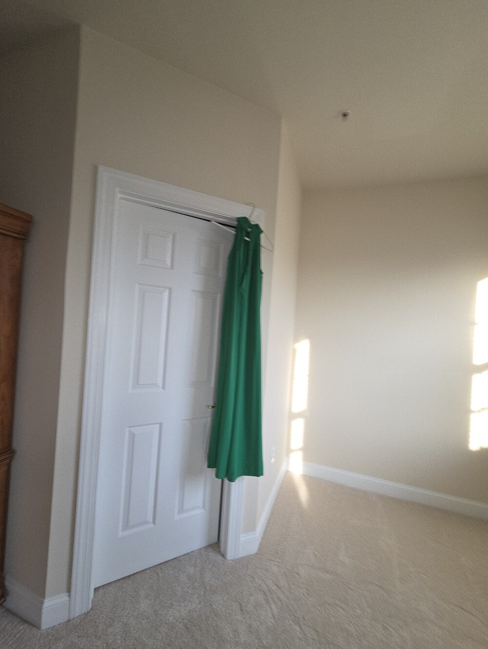 Green Curtain Panel - Brand